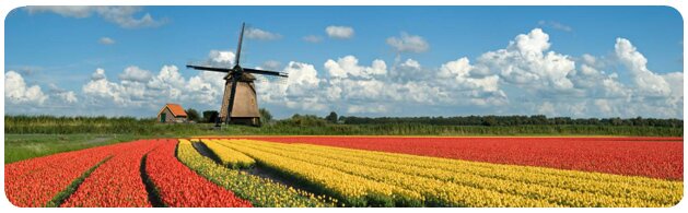Vuelos baratos a Holanda Vuelos baratos a Holanda
